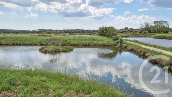 Terrain à vendre  6550 m 2   ST HILAIRE DE RIEZ  - 85