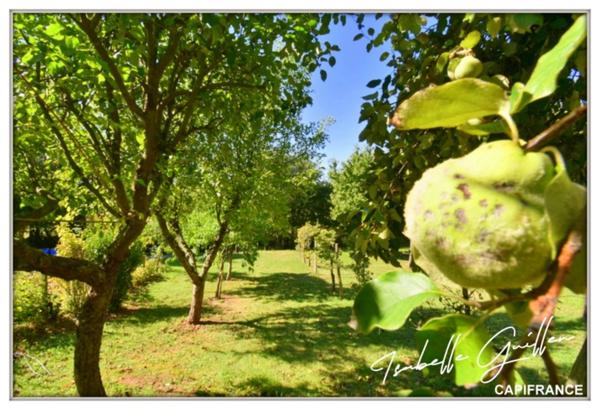 Dpt Cher (18), à vendre CHATEAUMEILLANT maison P5 de 145,7 m² - Terrain de 4 794,00 m²