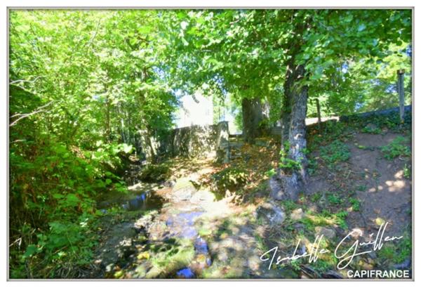 Dpt Cher (18), à vendre CHATEAUMEILLANT maison P5 de 145,7 m² - Terrain de 4 794,00 m²