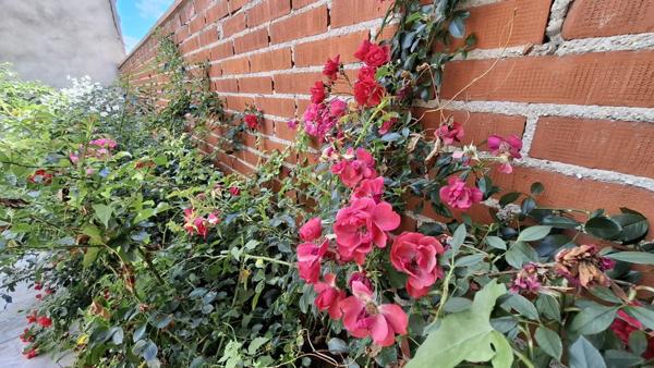 A VENDRE, Maison individuelle de plain pied 5 pièces SAINT QUENTIN (02), Jardin et Double Garage