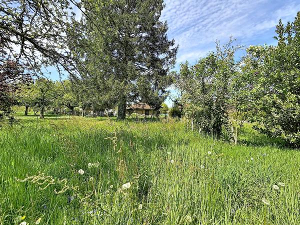 Cuisery : Maison de caractère du XIXe siècle à rénover – Fort potentiel – Terrain de 2 241 m²