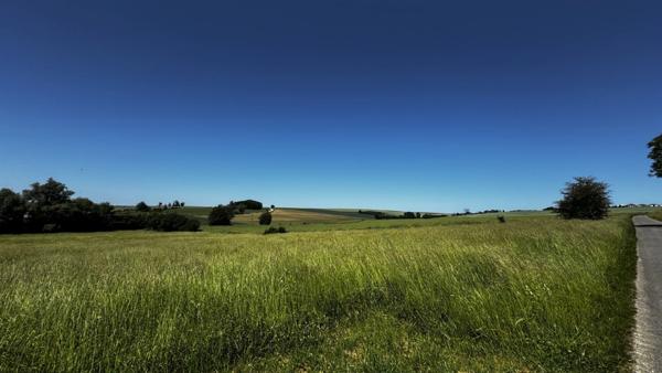 A vendre, Terrain de loisirs de 6 310 m² à Aincreville – Cadre naturel et nombreuses possibilités
