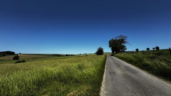A vendre, Terrain de loisirs de 6 310 m² à Aincreville – Cadre naturel et nombreuses possibilités