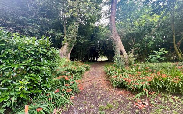 Terrain à vendre    Josse