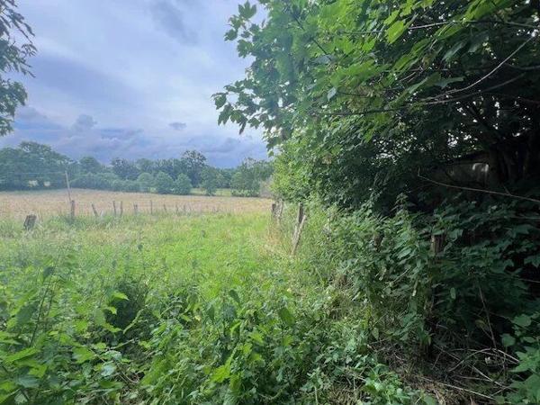 Vente Maison 2 pièces 200 m2 à Ernée