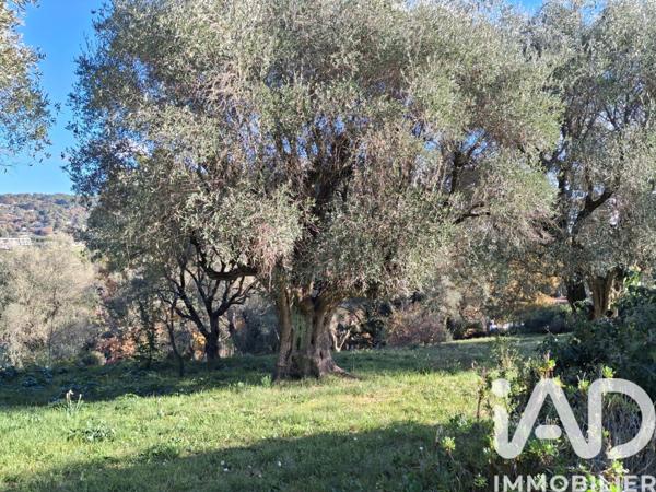 Terrain à vendre 3 233 m² La Roquette-sur-Siagne