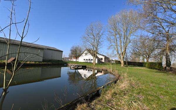 Maison à vendre    7 pièces •  Rue