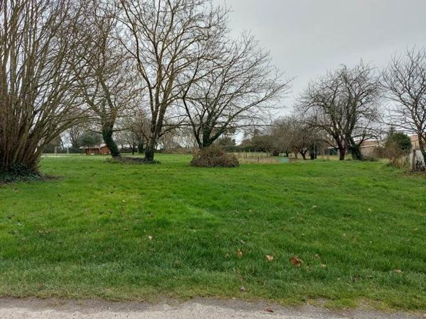 Terrain à vendre |  Clion |  4593 m²