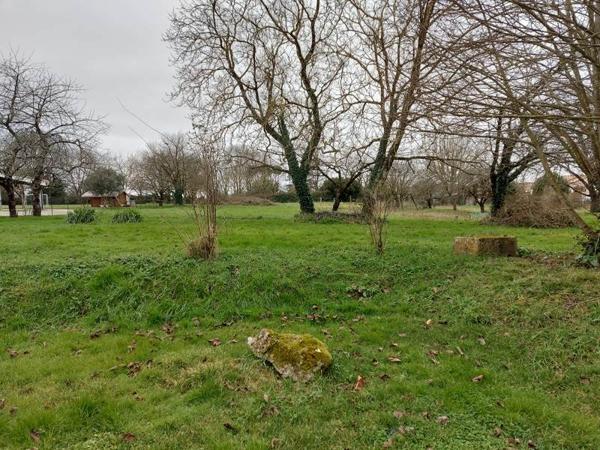 Terrain à vendre |  Clion |  4593 m²