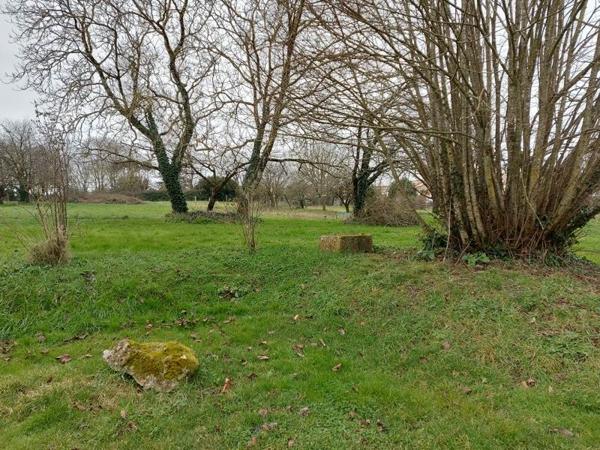 Terrain à vendre |  Clion |  4593 m²