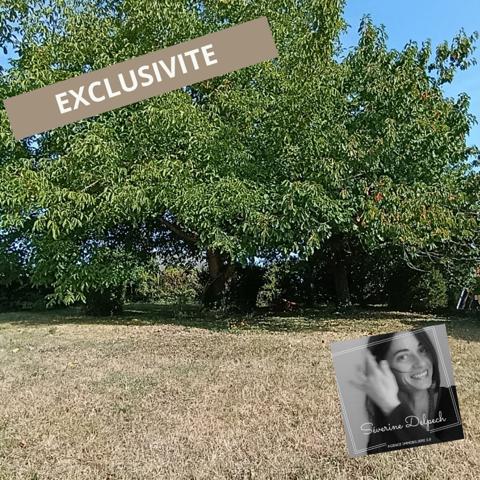 Maison 3 pièces - 50 m² Exclusivité efficity