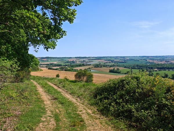 Commerce à vendre à Sérignac (82500) - Tarn-et-Garonne