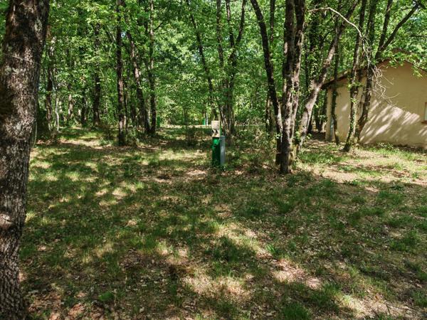 Commerce à vendre à Sérignac (82500) - Tarn-et-Garonne