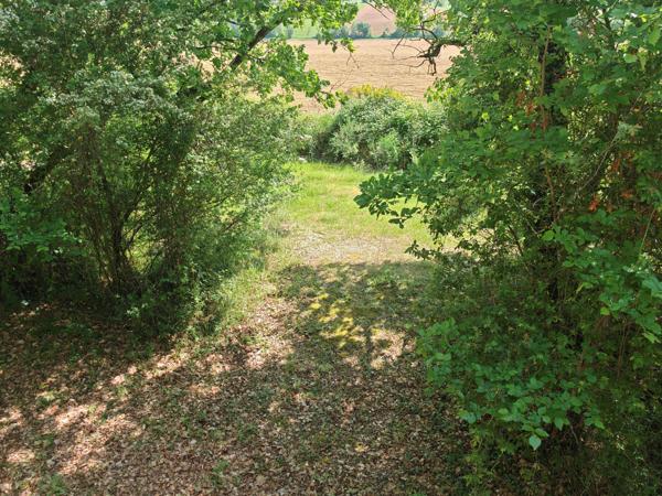 Commerce à vendre à Sérignac (82500) - Tarn-et-Garonne