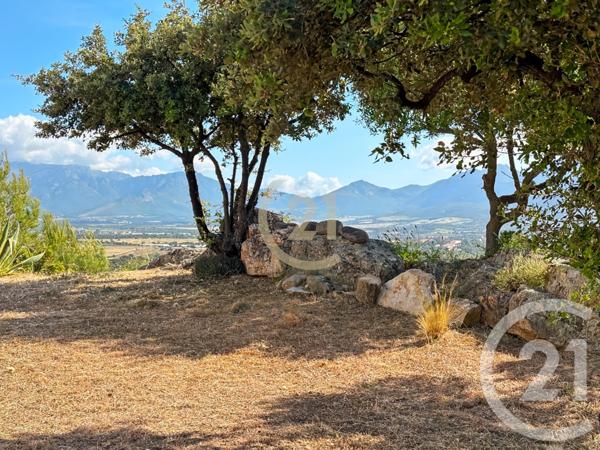 Maison à vendre  5 pièces - 146 m2 LUMIO - 202