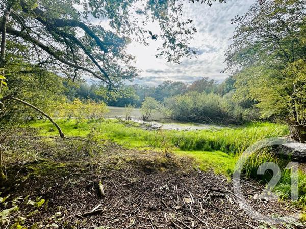 Maison à vendre  4 pièces - 85 m2 ESTERNAY - 51