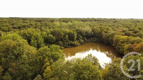 Maison à vendre  4 pièces - 85 m2 ESTERNAY - 51