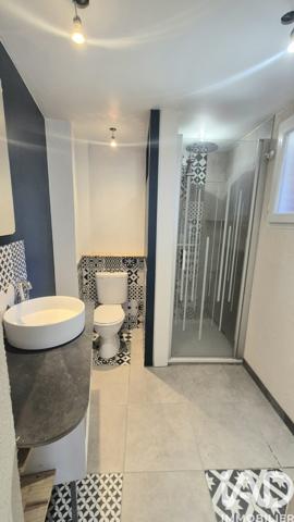 Maison à vendre 9 pièces 233 m² Andrézieux-Bouthéon