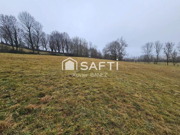 Terrain de 2900m² à Tanavelle (15100)