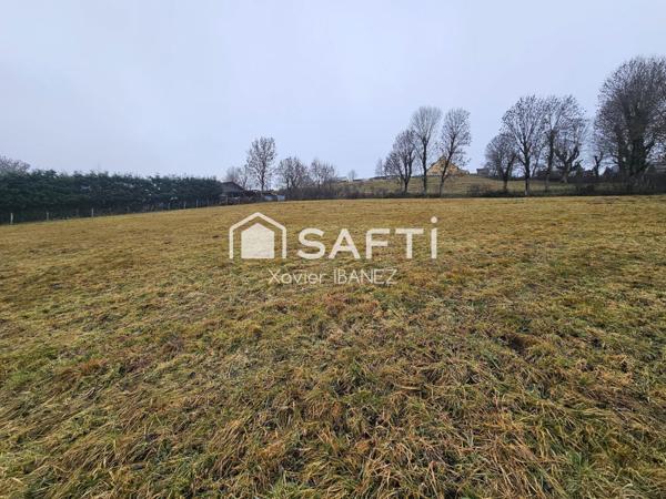 Terrain de 2900m² à Tanavelle (15100)