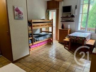appartement à vendre  1 pièce - 22,35 m2 CAUTERETS - 65