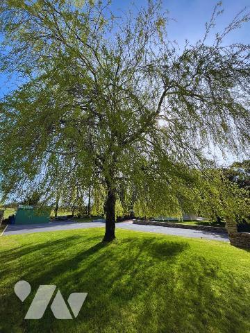 Maison - propriété - 3500 m2 - Piscine - expo sud - La Foret Fouesnant - 125 m2 - extension possible
