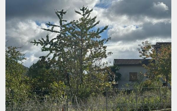 Vente Terrain Foix   