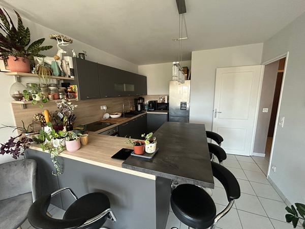 Appartement T2 Villeurbanne MAISONS-NEUVES Proche Lyon 3, Copropriété 2016, Terrasse, Climatisation