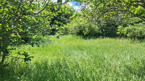 A vendre : Terrain à bâtir – 676 m² – Quartier des Baumelles à DIGNE LES BAINS (04)