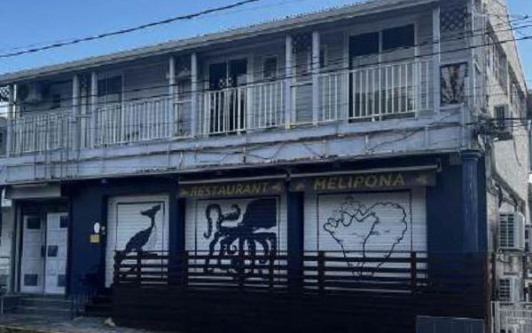 Maison à vendre    13 pièces •  Basse-Terre