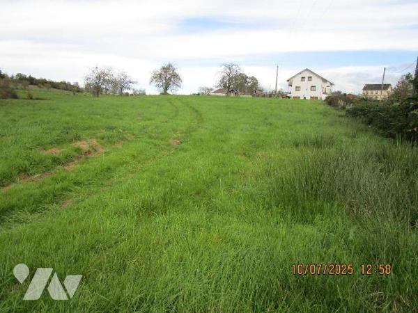 Belle parcelle de terrain à bâtir et terrain d'agrément attenant ; le tout sur 89 ares environ ...