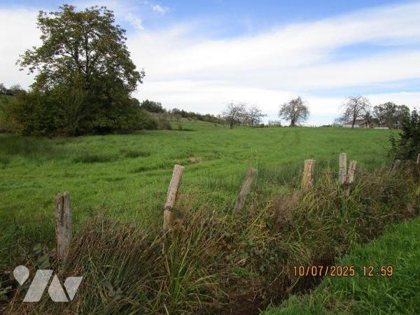 Belle parcelle de terrain à bâtir et terrain d'agrément attenant ; le tout sur 89 ares environ ...