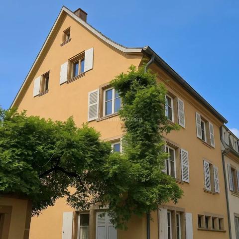 Vente Appartement 6 pièces 207 m2 à Colmar