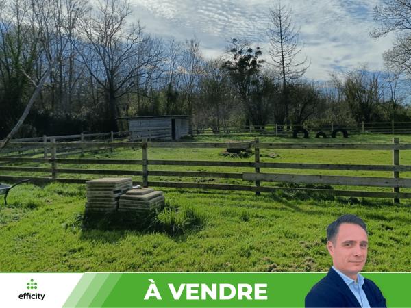 Maison 6 pièces - 237 m²