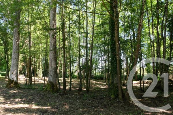 Maison à vendre  6 pièces - 182 m2 LES QUATRE ROUTES DU LOT - 46