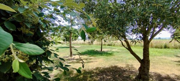 Maison traditionnelle de 115 m²