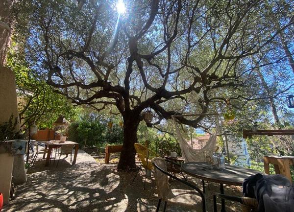 Maison à vendre    5 pièces •  La Seyne-sur-Mer