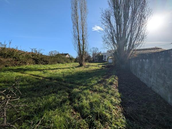 HANGAR / GARAGE  / LOCAL DE STOCKAGE / ENTREPOT