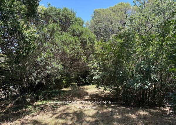 Fuveau, villa 136 m² au cœur de la forêt avec piscine et dépendance.