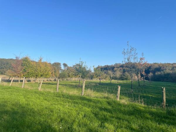 Maison ancienne avec grange attenante