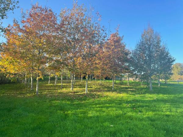 Maison ancienne avec grange attenante