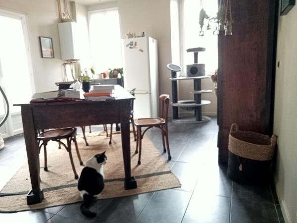 A vendre immeuble de deux appartements à Vic en Bigorre