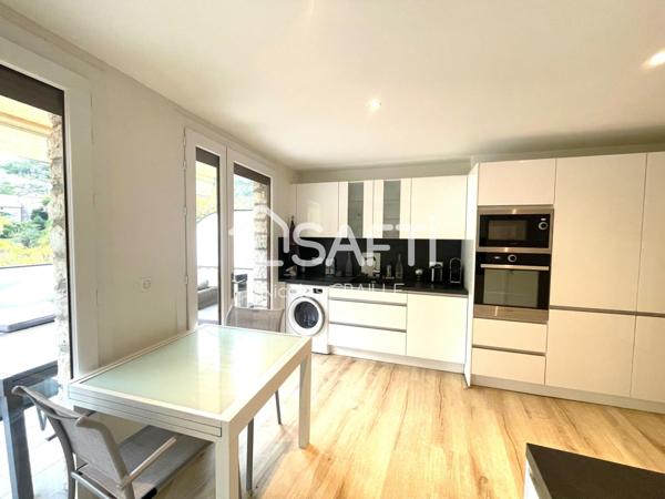 Maison de village + commerce