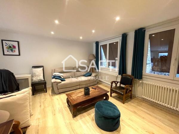 Maison de village + commerce