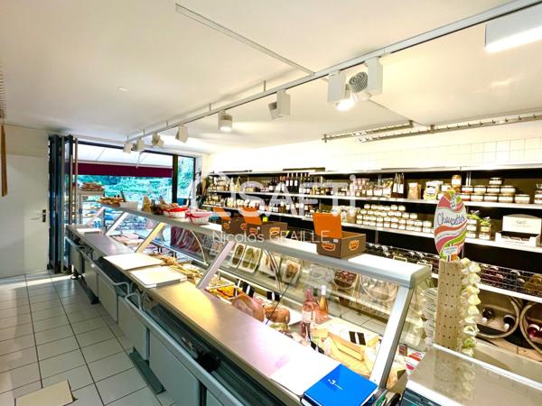 Maison de village + commerce