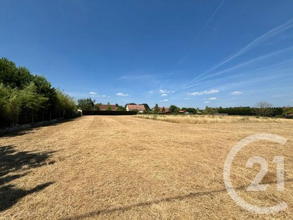 Terrain à vendre  1020 m 2   MUIDES SUR LOIRE  - 41