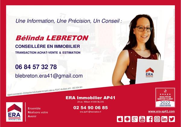 Appart. à vendre T5 - Blois - Très bien placé au coeur du centre-ville, beaux espaces à rénover.