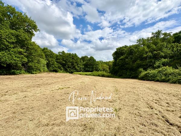 Maison de campagne, Bayas 3 pièces 93 m2 sur 4 hectares