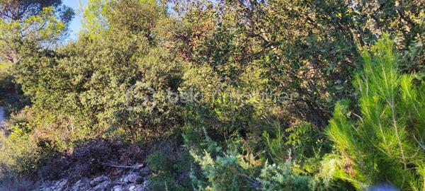 Terrain de 2 241 m²