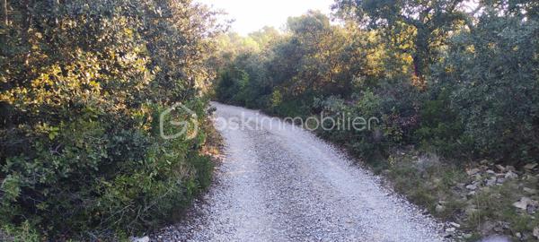 Terrain de 2 241 m²